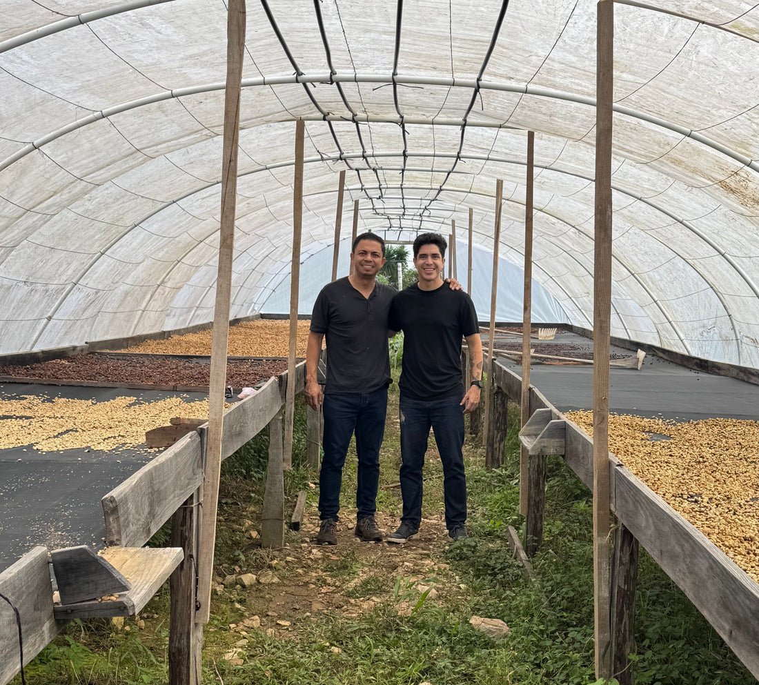 This Coffee Season Is Absolute Madness (and We Love It) Prices, Tariffs, and What It Means for Your Cup