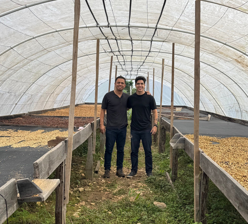 This Coffee Season Is Absolute Madness (and We Love It) Prices, Tariffs, and What It Means for Your Cup