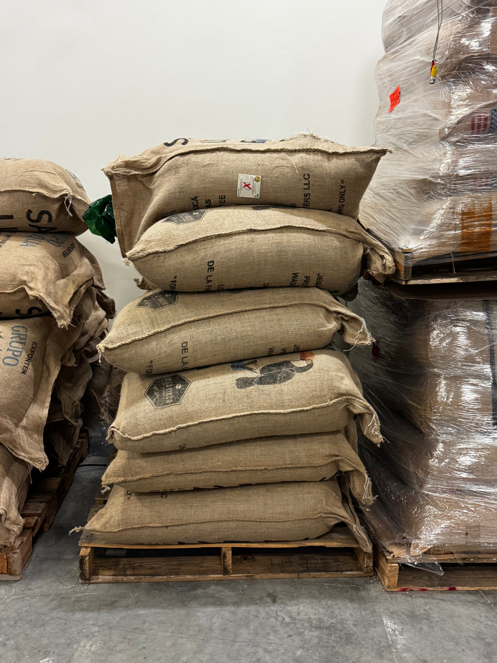 EL NILO | Ethiopia, Medium Roast