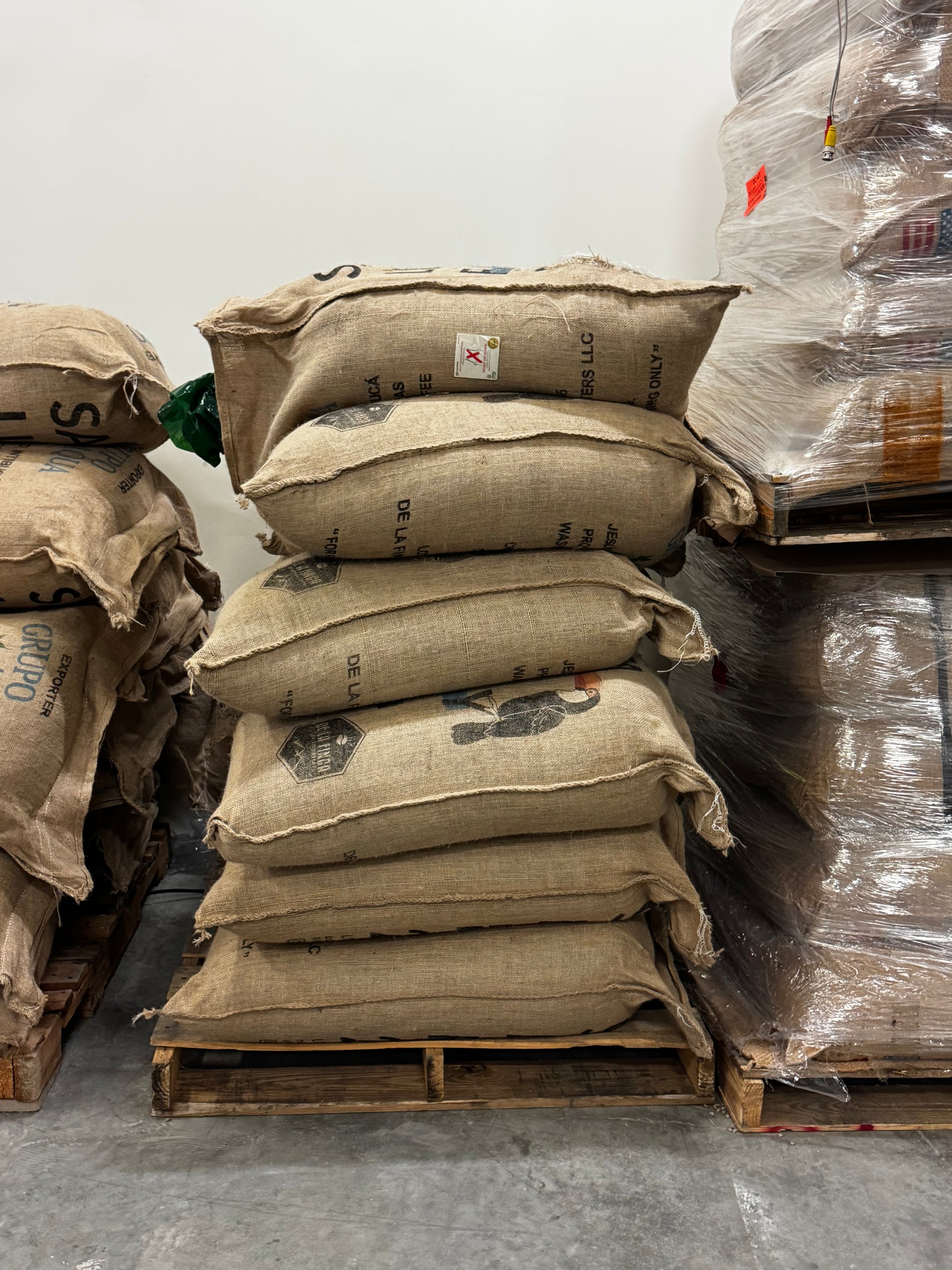 EL NILO | Ethiopia, Medium Roast