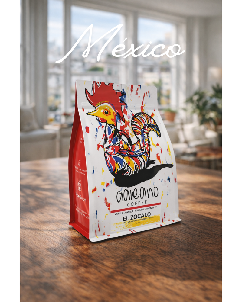 MEXICO / VERACRUZ / Medium Roast